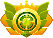 Third Rank